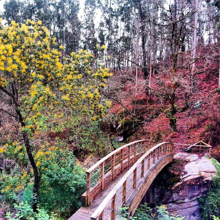 Mondoñedo Finca El Remansoゲストハウス エクステリア 写真