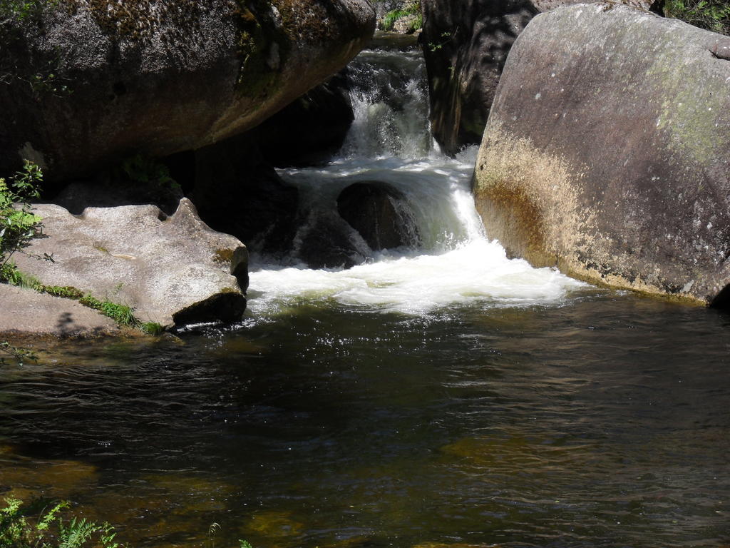 Mondoñedo Finca El Remansoゲストハウス エクステリア 写真