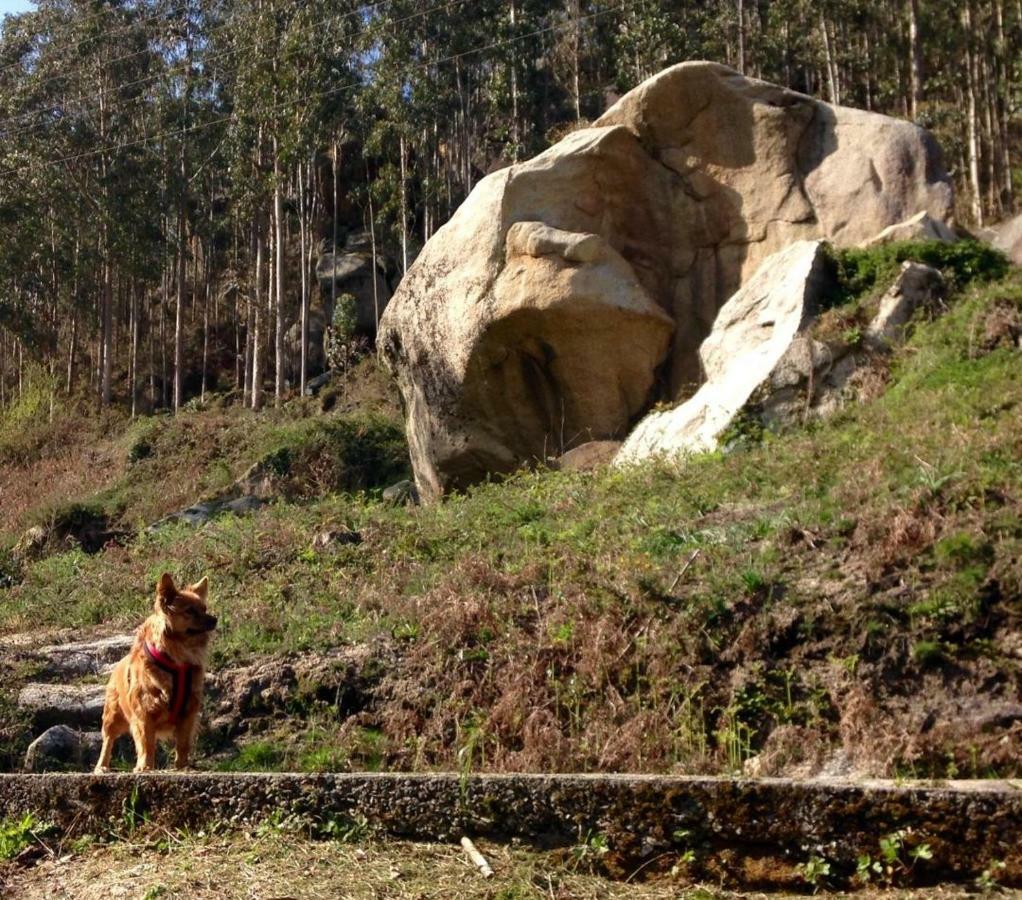 Mondoñedo Finca El Remansoゲストハウス エクステリア 写真